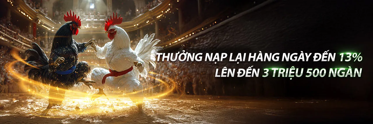Hình ảnh Điều khoản & Điều kiện cổng game uy tín